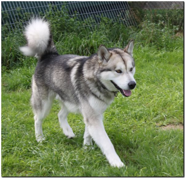 Besuch Nanooq 276.jpg